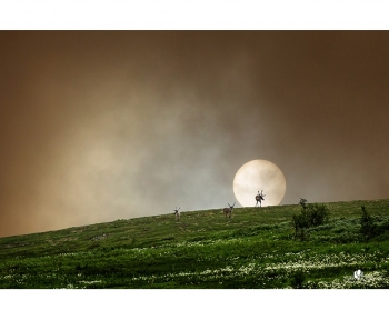 Олени на Молебном. Артикул: 011